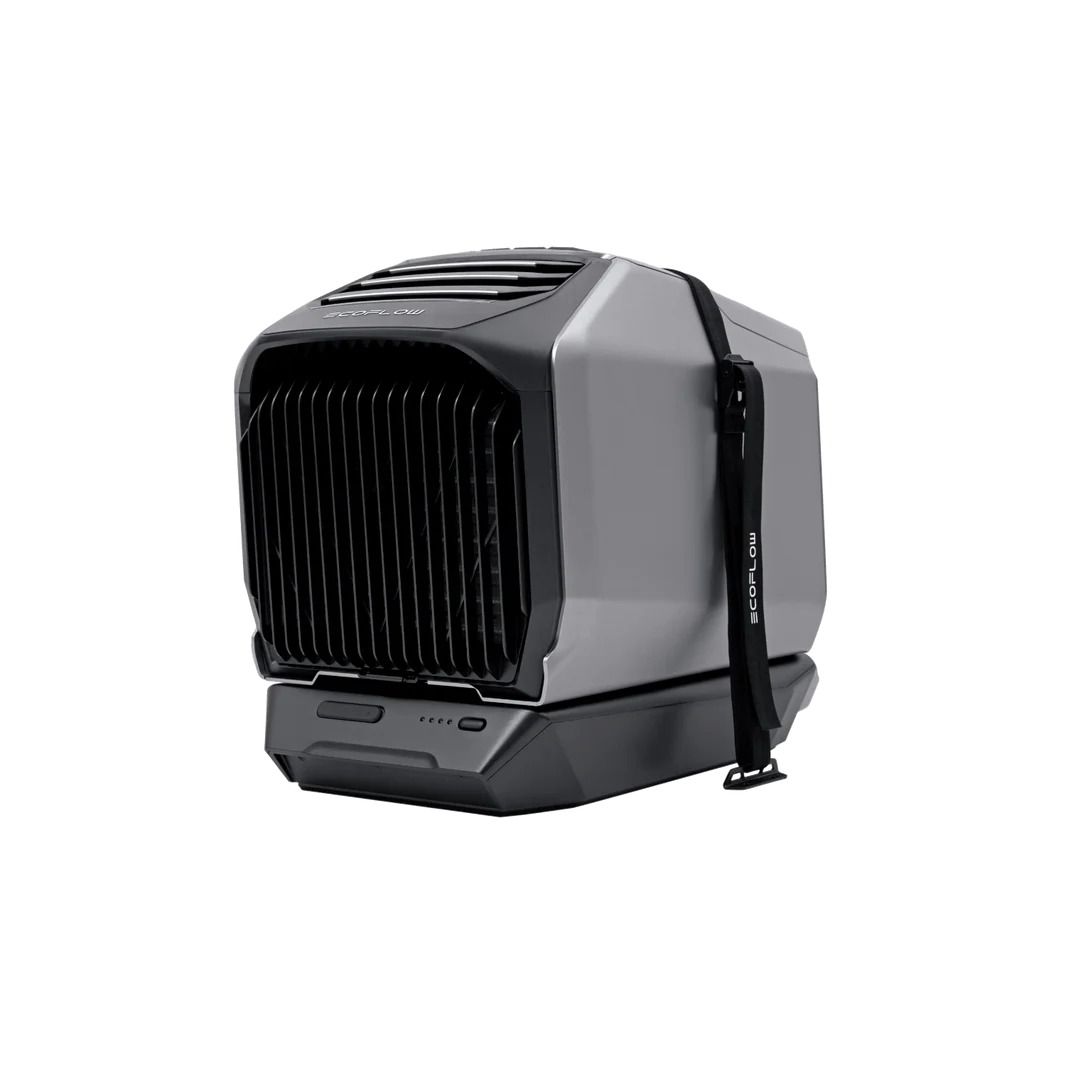 EcoFlow Stabilizing Strap